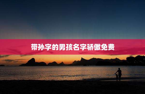 带孙字的男孩名字骄傲免费