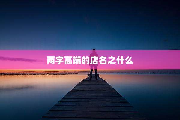 两字高端的店名之什么