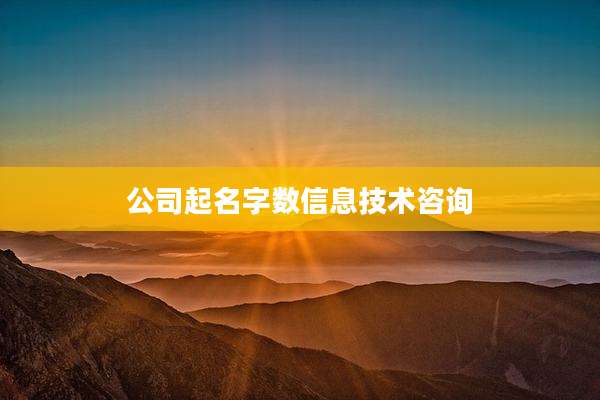 公司起名字数信息技术咨询