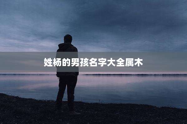 姓杨的男孩名字大全属木