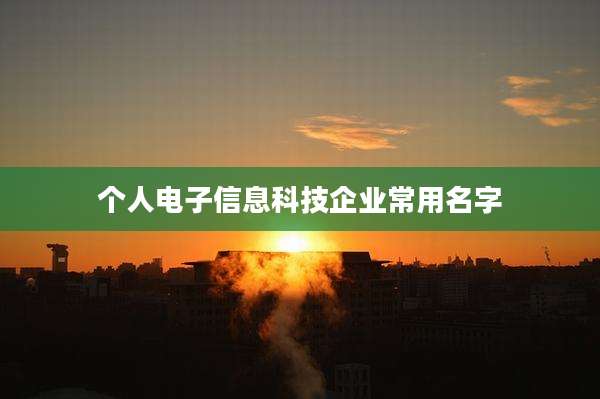 个人电子信息科技企业常用名字