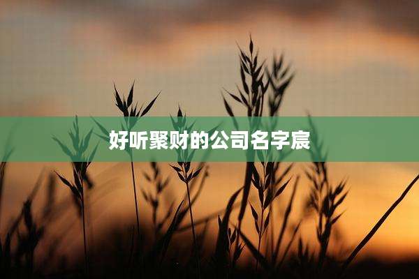 好听聚财的公司名字宸