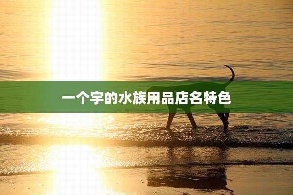 一个字的水族用品店名特色