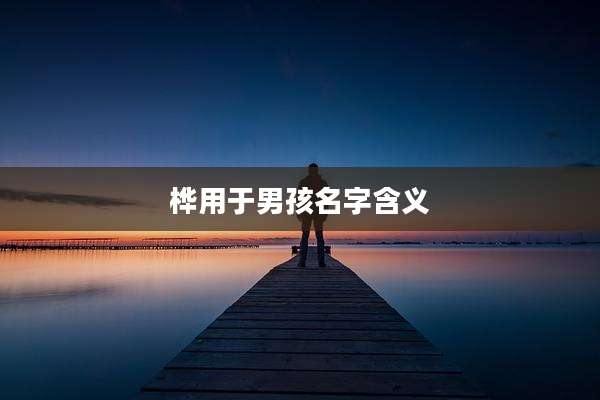 桦用于男孩名字含义