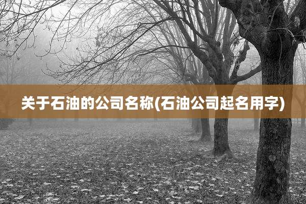 关于石油的公司名称(石油公司起名用字)