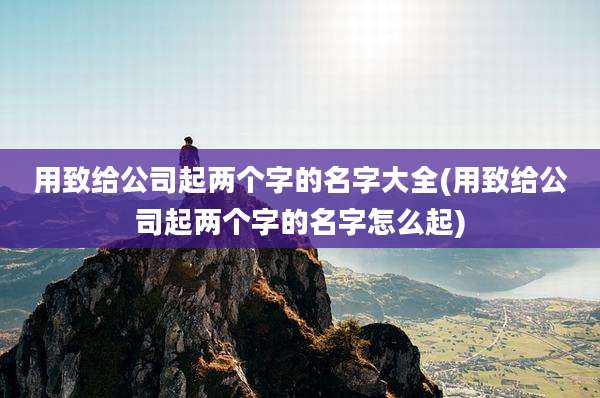 用致给公司起两个字的名字大全(用致给公司起两个字的名字怎么起)