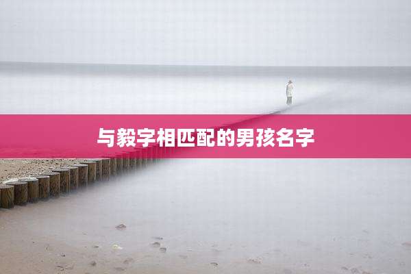 与毅字相匹配的男孩名字