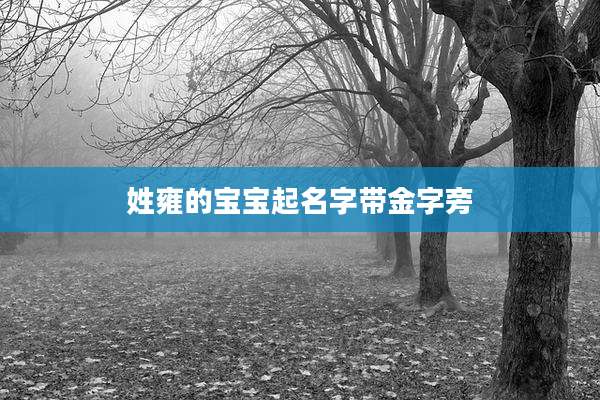 姓雍的宝宝起名字带金字旁