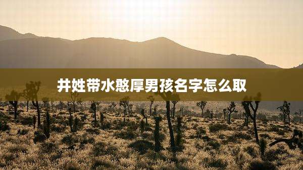 井姓带水憨厚男孩名字怎么取