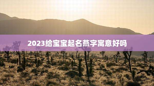 2023给宝宝起名燕字寓意好吗