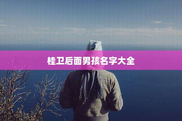 桂卫后面男孩名字大全