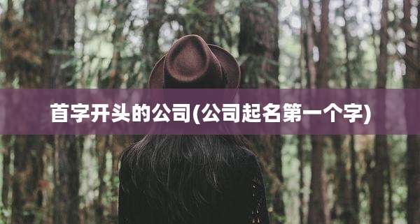 首字开头的公司(公司起名第一个字)