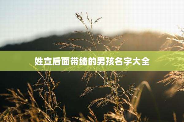 姓宣后面带绮的男孩名字大全
