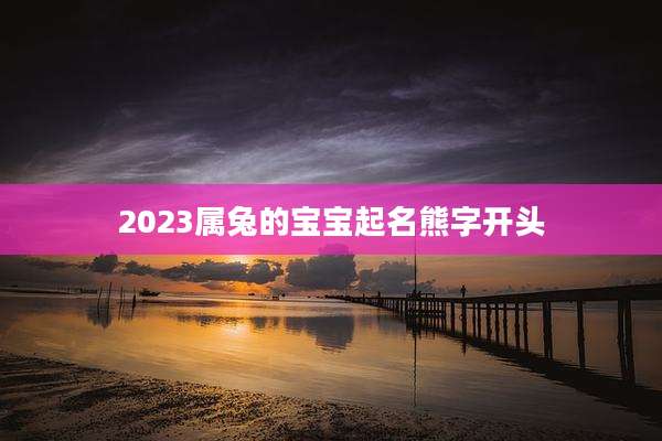2023属兔的宝宝起名熊字开头