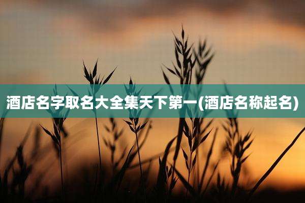 酒店名字取名大全集天下第一(酒店名称起名)