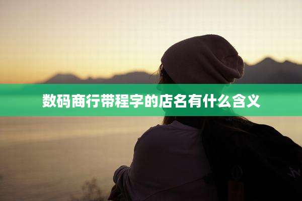 数码商行带程字的店名有什么含义