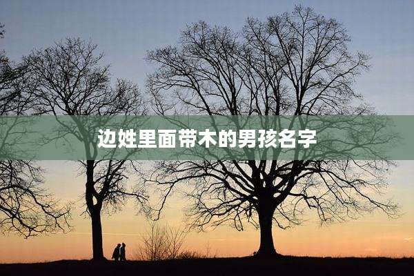 边姓里面带木的男孩名字