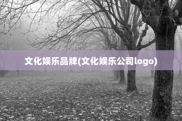 文化娱乐品牌(文化娱乐公司logo)