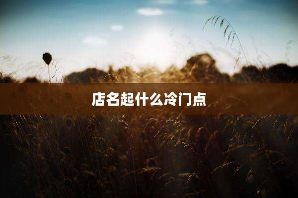 店名起什么冷门点