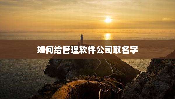 如何给管理软件公司取名字