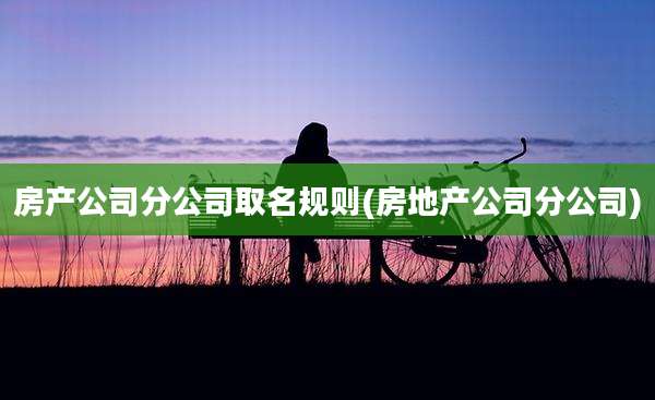 房产公司分公司取名规则(房地产公司分公司)