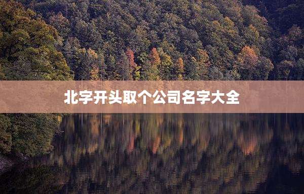 北字开头取个公司名字大全