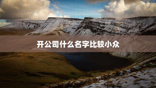 开公司什么名字比较小众
