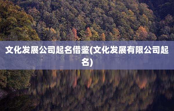 文化发展公司起名借鉴(文化发展有限公司起名)