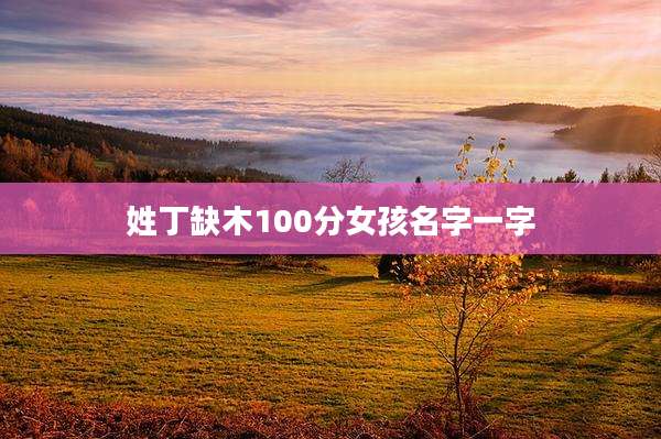 姓丁缺木100分女孩名字一字