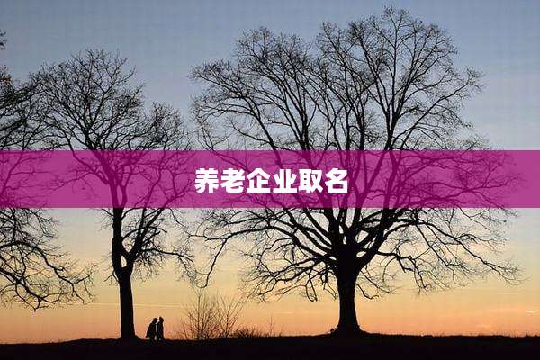 养老企业取名