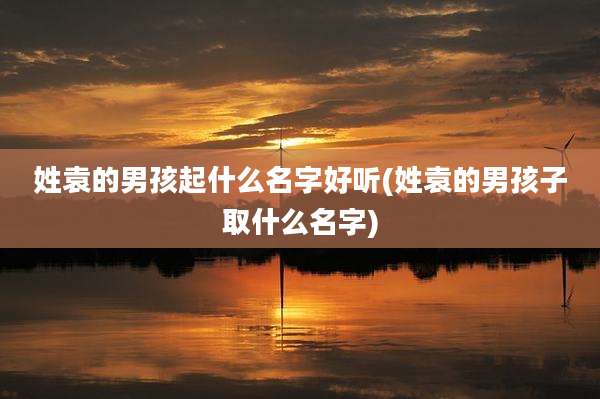 姓袁的男孩起什么名字好听(姓袁的男孩子取什么名字)