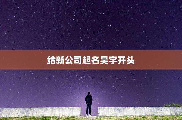 给新公司起名昊字开头