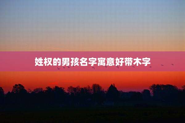 姓权的男孩名字寓意好带木字