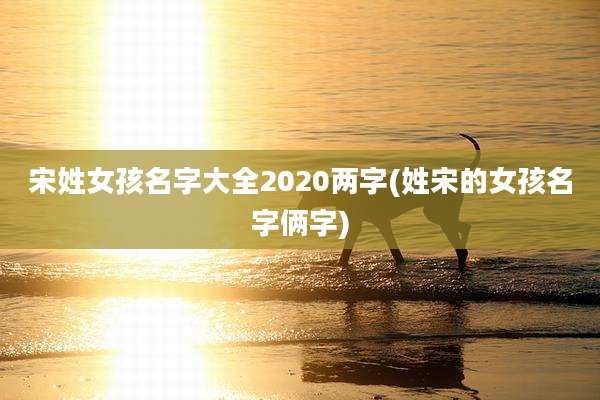 宋姓女孩名字大全2020两字(姓宋的女孩名字俩字)