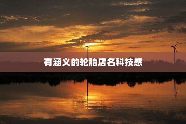 有涵义的轮胎店名科技感