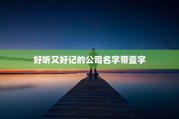 好听又好记的公司名字带壹字