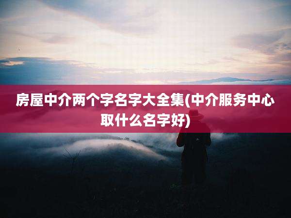 房屋中介两个字名字大全集(中介服务中心取什么名字好)
