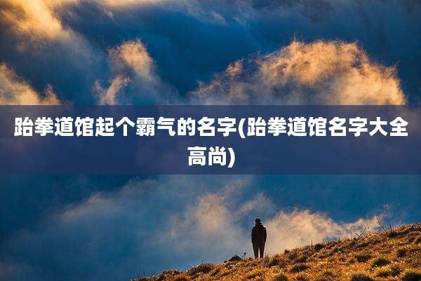 跆拳道馆起个霸气的名字(跆拳道馆名字大全高尚)