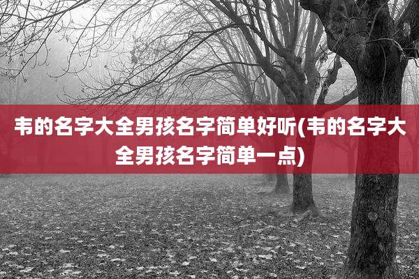 韦的名字大全男孩名字简单好听(韦的名字大全男孩名字简单一点)