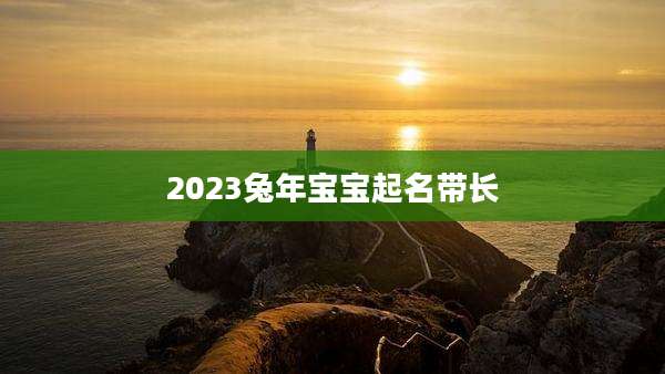 2023兔年宝宝起名带长