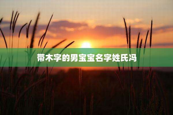 带木字的男宝宝名字姓氏冯