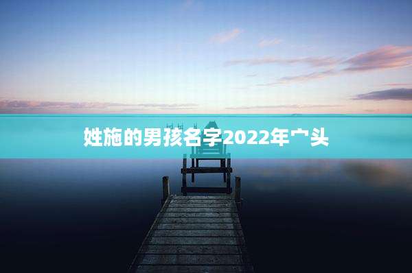 姓施的男孩名字2022年宀头