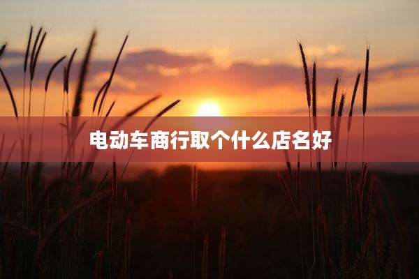 电动车商行取个什么店名好