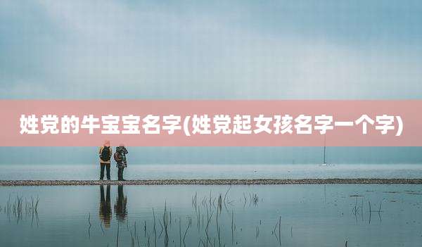 姓党的牛宝宝名字(姓党起女孩名字一个字)