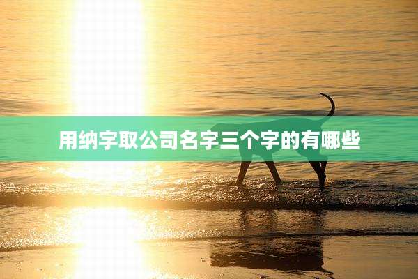 用纳字取公司名字三个字的有哪些