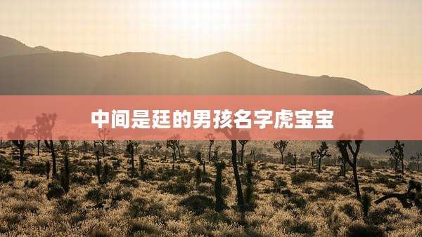 中间是廷的男孩名字虎宝宝