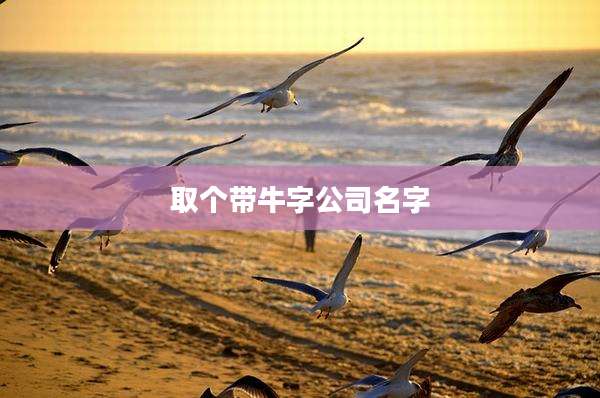 取个带牛字公司名字