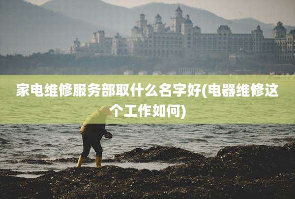 家电维修服务部取什么名字好(电器维修这个工作如何)