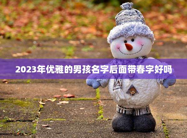 2023年优雅的男孩名字后面带春字好吗