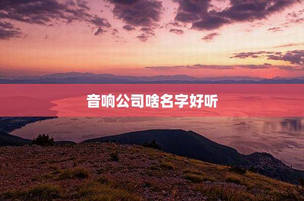 音响公司啥名字好听